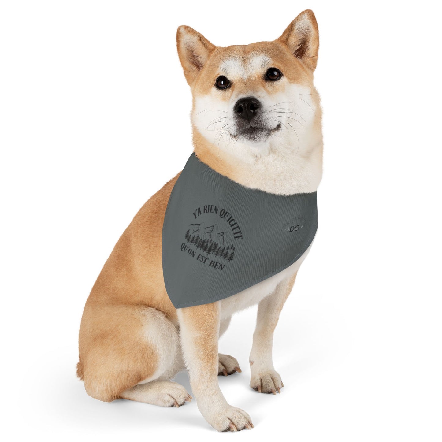 Adventure-Ready Pet Bandana Collar - ‘y'a rien qu'icitte qu'on est ben