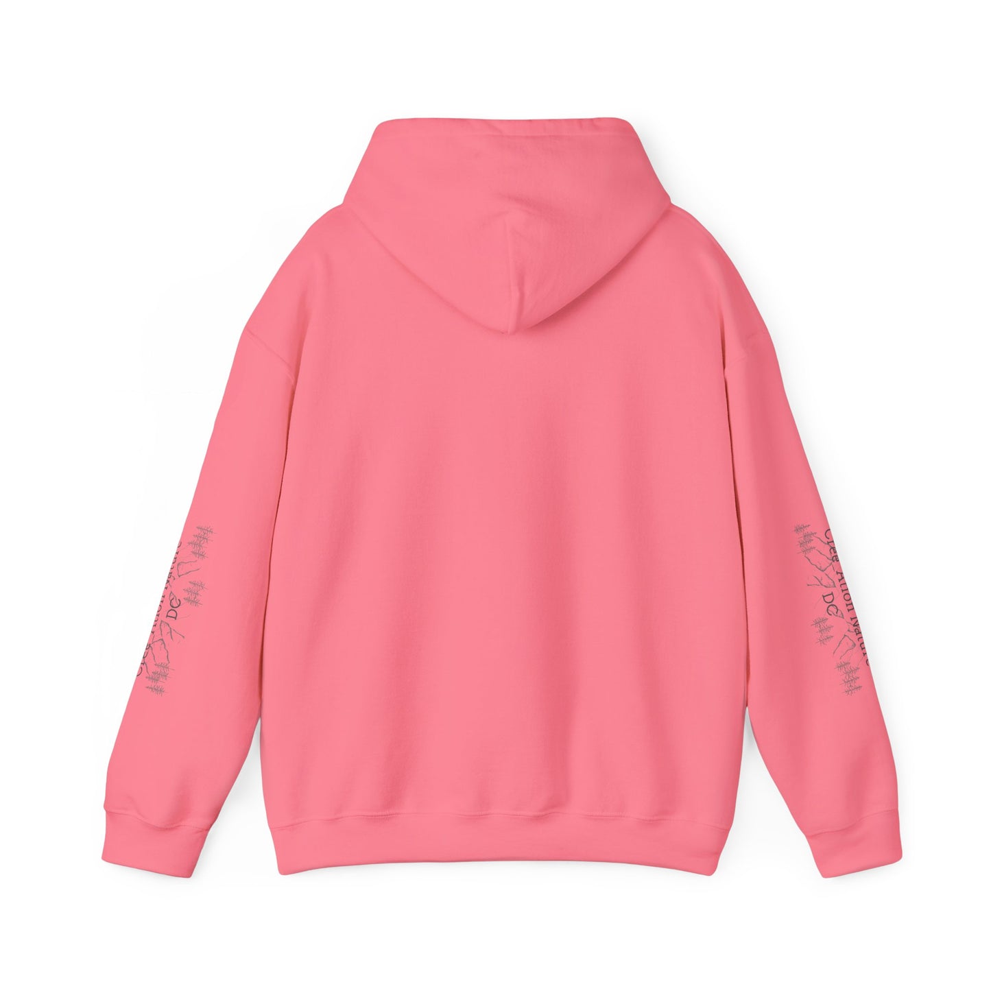 sweat-shirt à capuche unisexe - 'Y'A RIEN QU'ICITTE - Qu'On Est Ben'-Crée_ation Nature DC