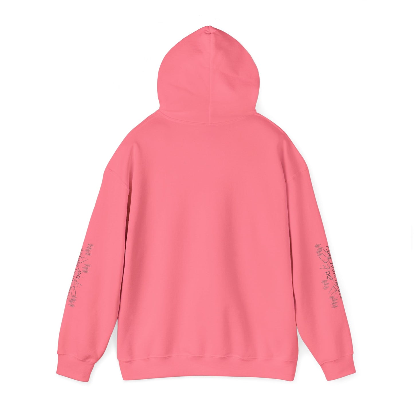 sweat-shirt à capuche unisexe - 'Y'A RIEN QU'ICITTE - Qu'On Est Ben'-Crée_ation Nature DC