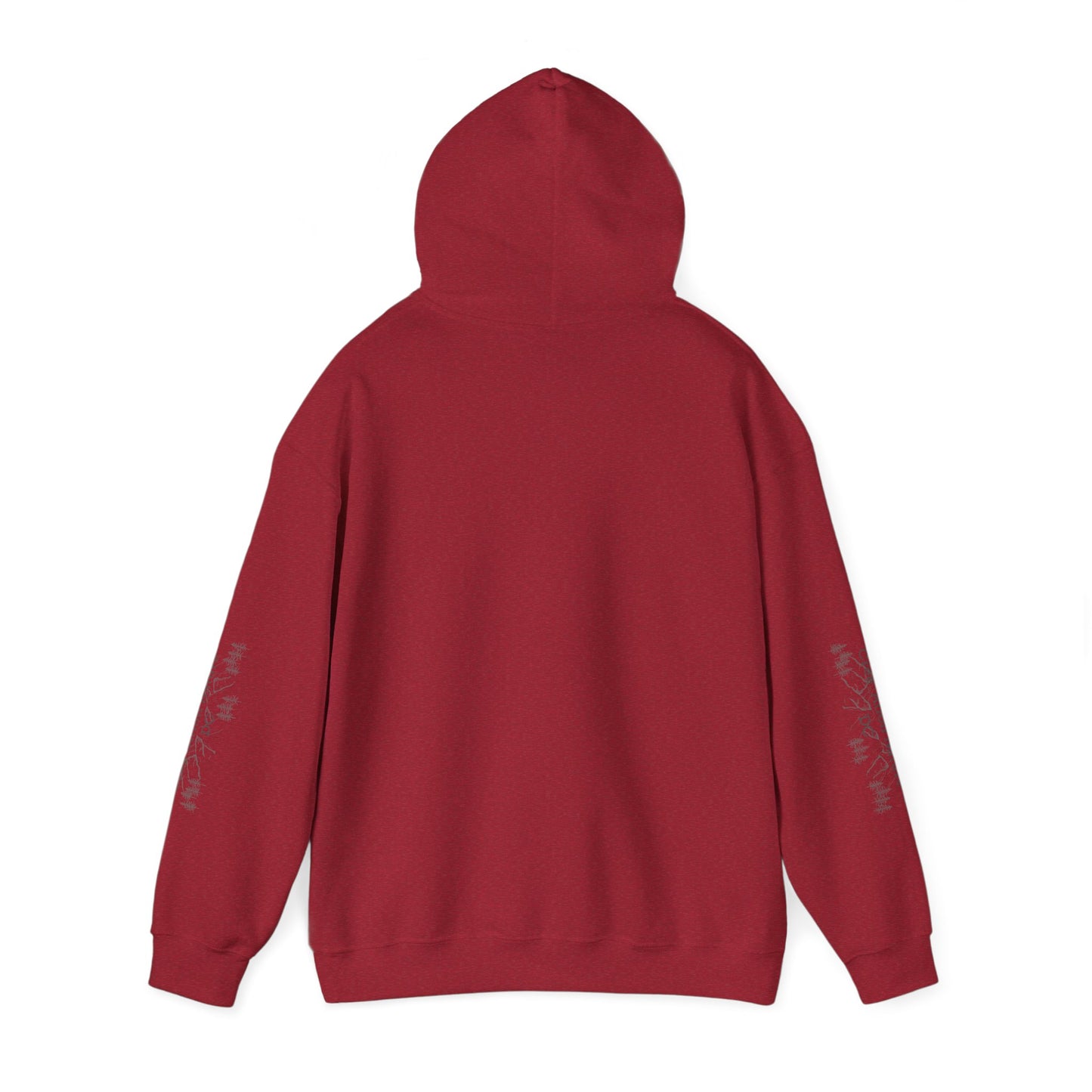 sweat-shirt à capuche unisexe - 'Y'A RIEN QU'ICITTE - Qu'On Est Ben'-Crée_ation Nature DC