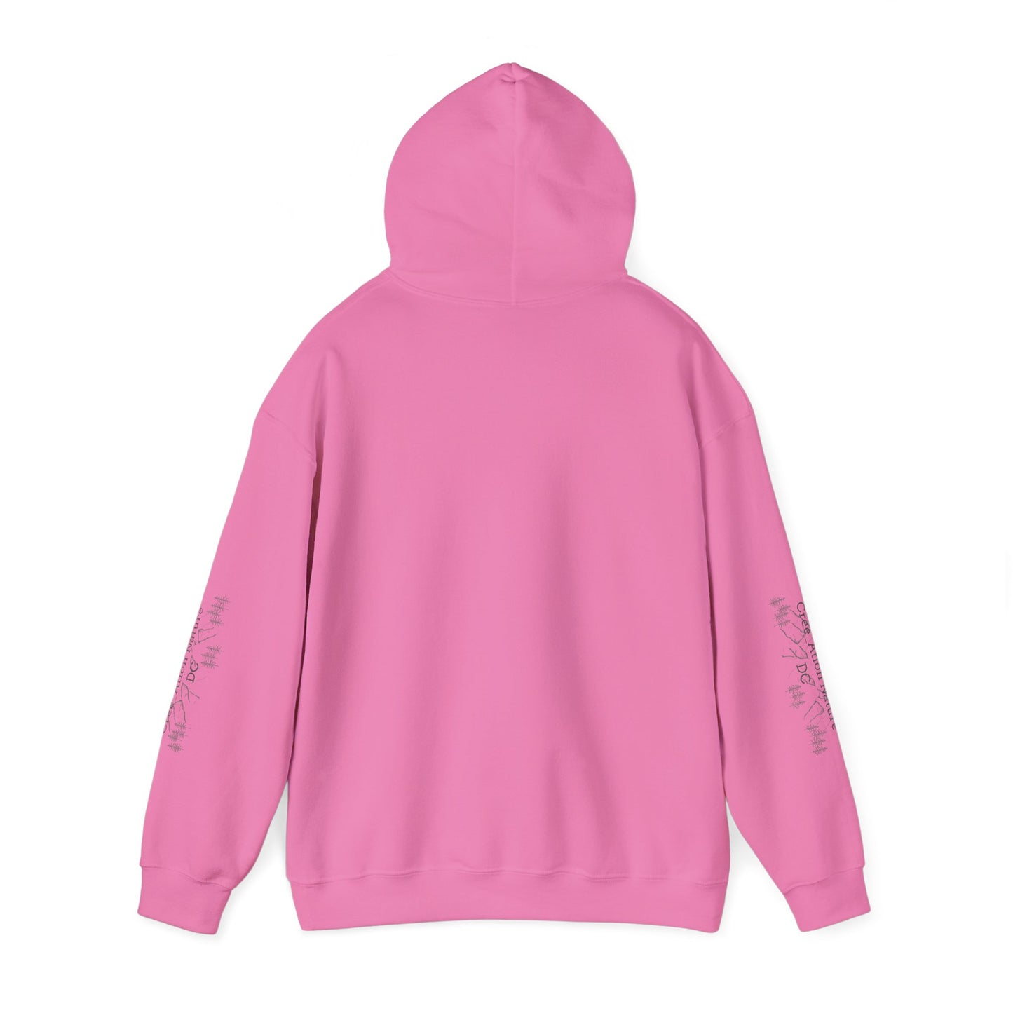 sweat-shirt à capuche unisexe - 'Y'A RIEN QU'ICITTE - Qu'On Est Ben'-Crée_ation Nature DC