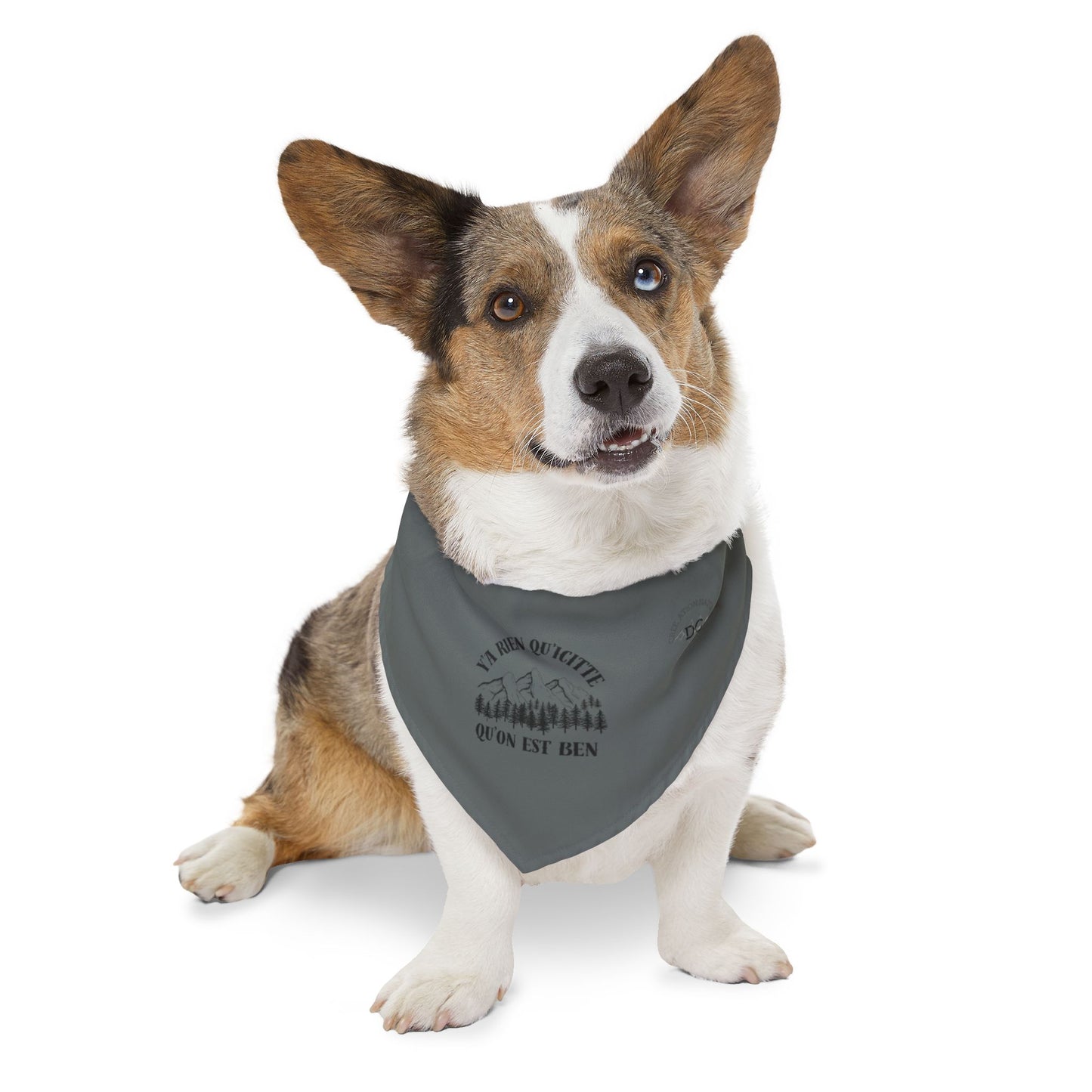 Adventure-Ready Pet Bandana Collar - ‘y'a rien qu'icitte qu'on est ben