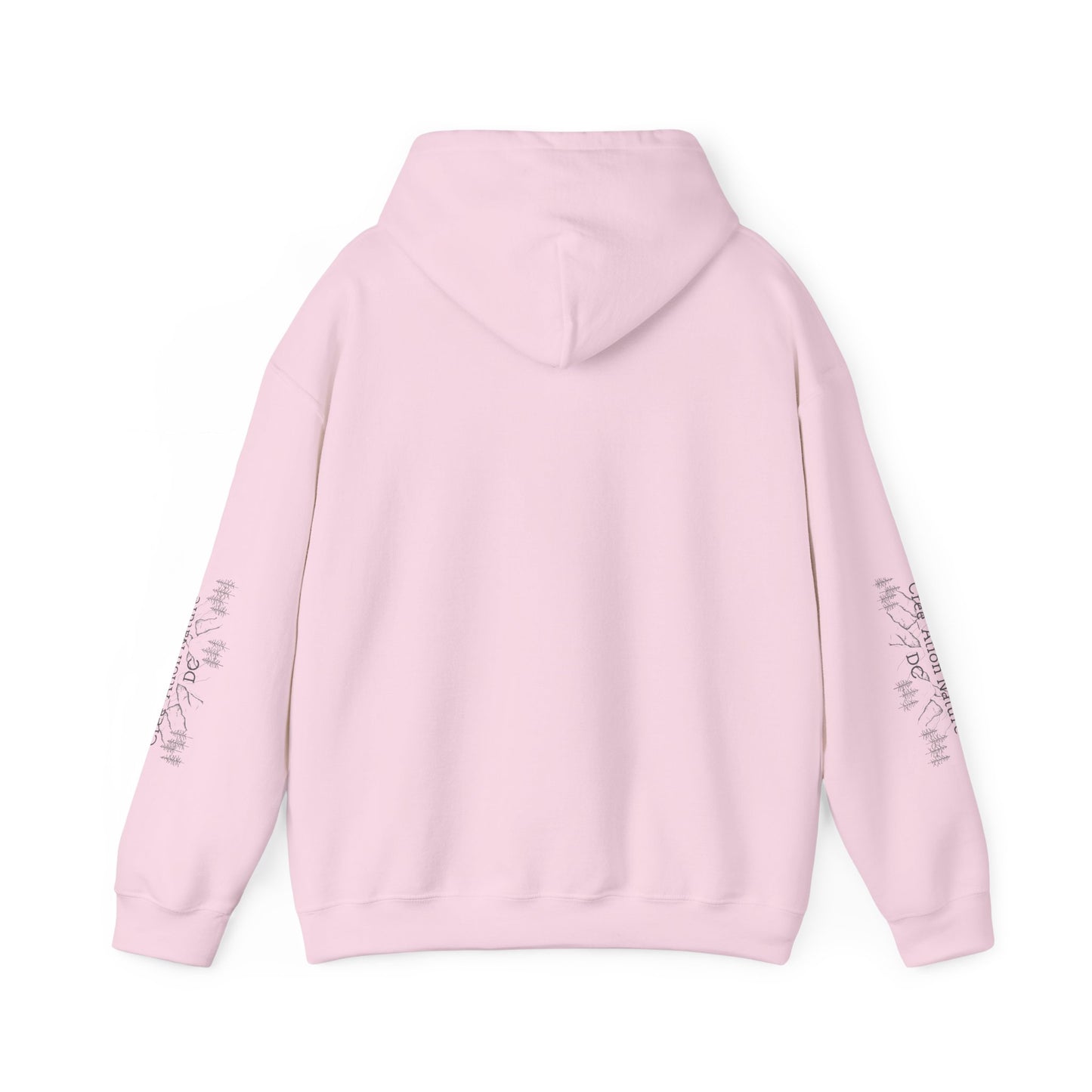 sweat-shirt à capuche unisexe - 'Y'A RIEN QU'ICITTE - Qu'On Est Ben'-Crée_ation Nature DC
