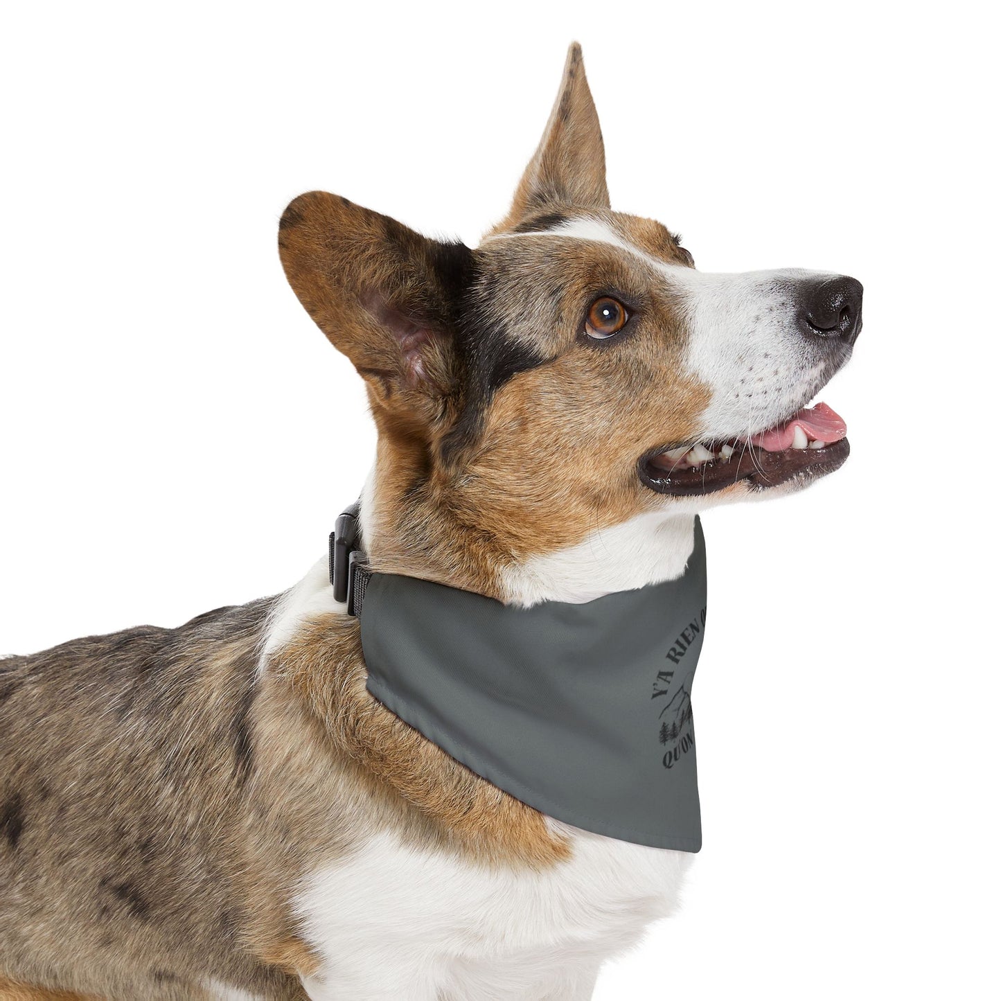 Adventure-Ready Pet Bandana Collar - ‘y'a rien qu'icitte qu'on est ben