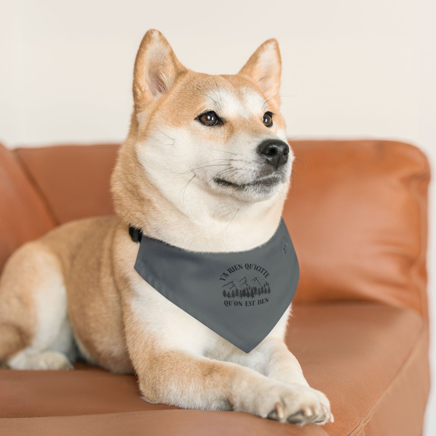Adventure-Ready Pet Bandana Collar - ‘y'a rien qu'icitte qu'on est ben