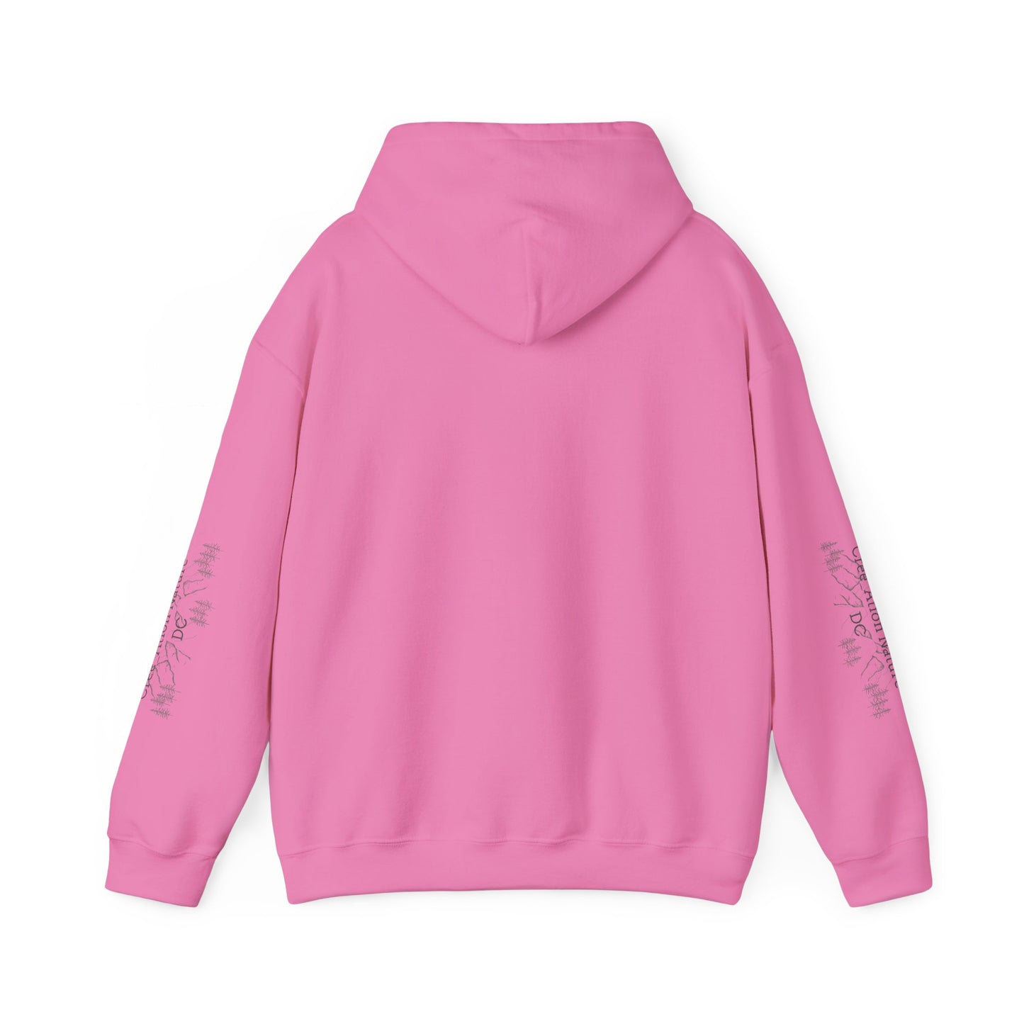 sweat-shirt à capuche unisexe - 'Y'A RIEN QU'ICITTE - Qu'On Est Ben'-Crée_ation Nature DC
